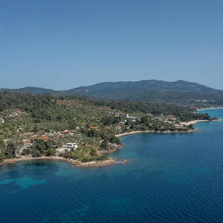 Olive Grove - With Private Pool And Garden