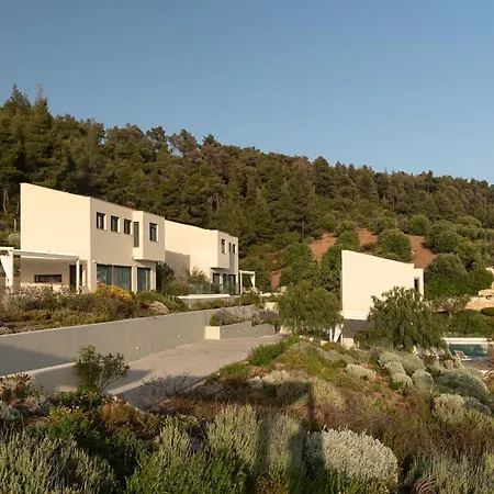Olive Grove - With Private Pool And Garden