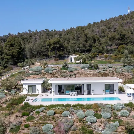 Olive Grove - With Private Pool And Garden וילה ניקיטי