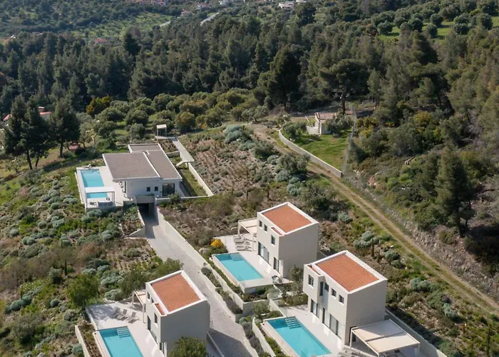 Olive Grove - With Private Pool And Garden וילה ניקיטי