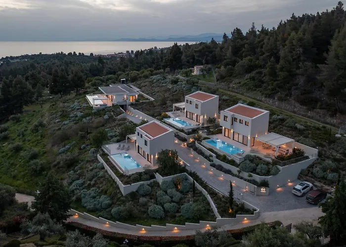 וילה Olive Grove - With Private Pool And Garden ניקיטי