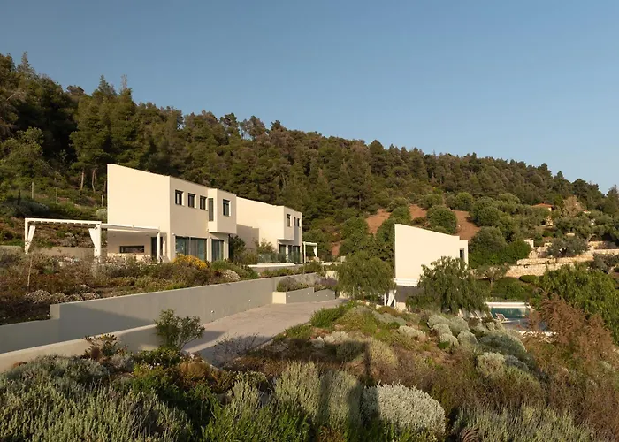 Olive Grove - With Private Pool And Garden