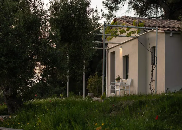 Olive Grove - With Private Pool And Garden וילה ניקיטי